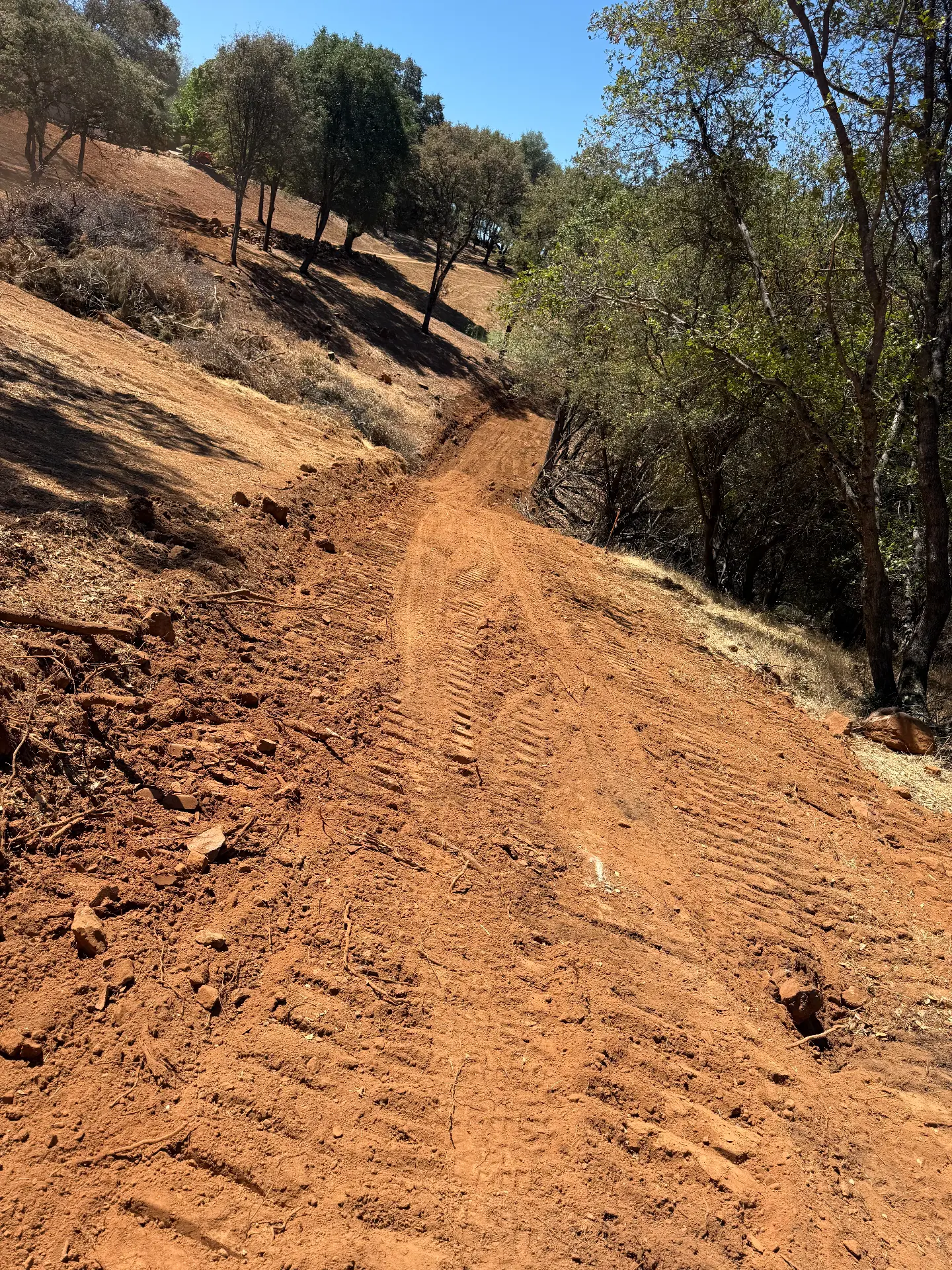 Cleared dirt access route through a wooded hillside